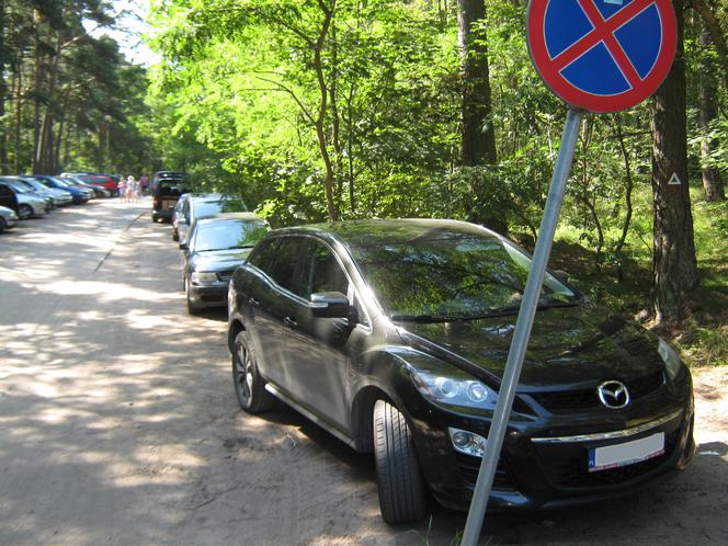 Typowe przykłady nieprawidłowego parkowania to łamanie zakazów wynikających ze znaków drogowych, ale także zastawianie chodników i skrzyżowań oraz niszczenie zieleńców.