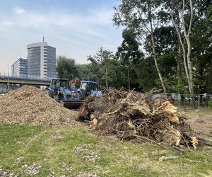 Protest mieszkańców przeciwko wycince drzew pod budowę linii tramwajowej do Mistrzejowic.