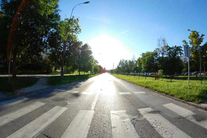 Akcję przeprowadzili żarscy policjanci