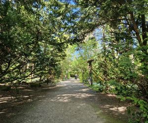 Wiosna w Ogrodzie Botanicznym UKW, czyli spacer wśród zieleni