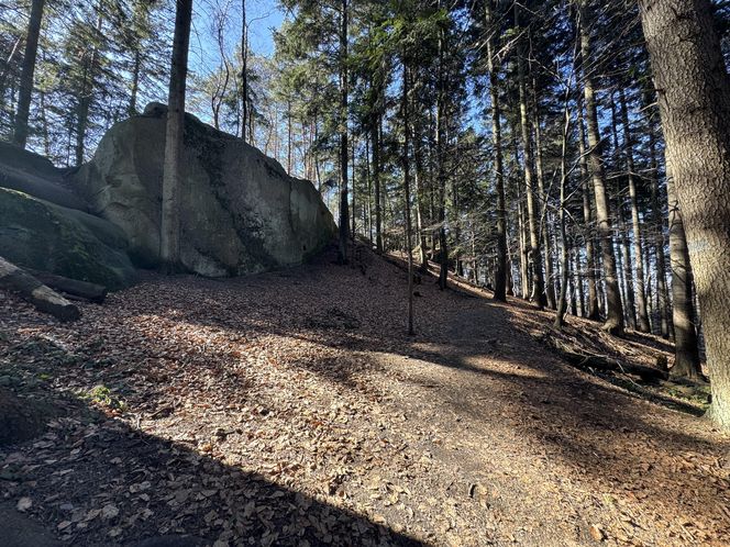 Podkarpackie Prządki - niezwykłe miejsce na spacer 