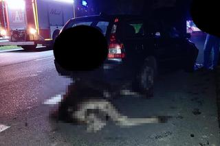Dramat pod Siedlcami. Najpierw zderzył się z łosiem, później huknął w naczepę ciężarówki 