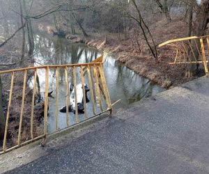 Pelplin. Fatalny wypadek na moście. Kierowca volkswagena runął do rzeki. Był reanimowany [ZDJĘCIA].