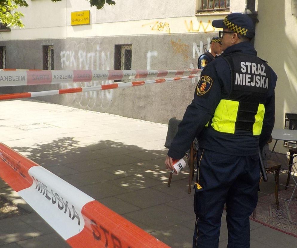 Rój pszczół sparaliżował ruch w sercu Warszawy. Akcja strażaków trwała aż trzy godziny!