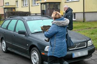 Kliniska Wielkie: Wielka akcja saperska. Ewakuacja mieszkańców!
