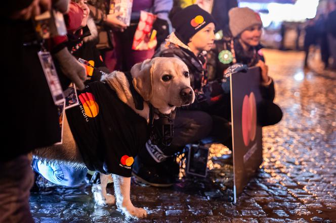 Wielki biznes znowu zagra podczas Finału WOŚP. Mastercard: „Wszystkie ręce na pokład”