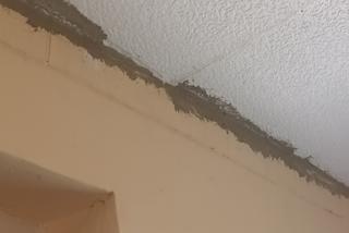 Czarownice remontują dom 