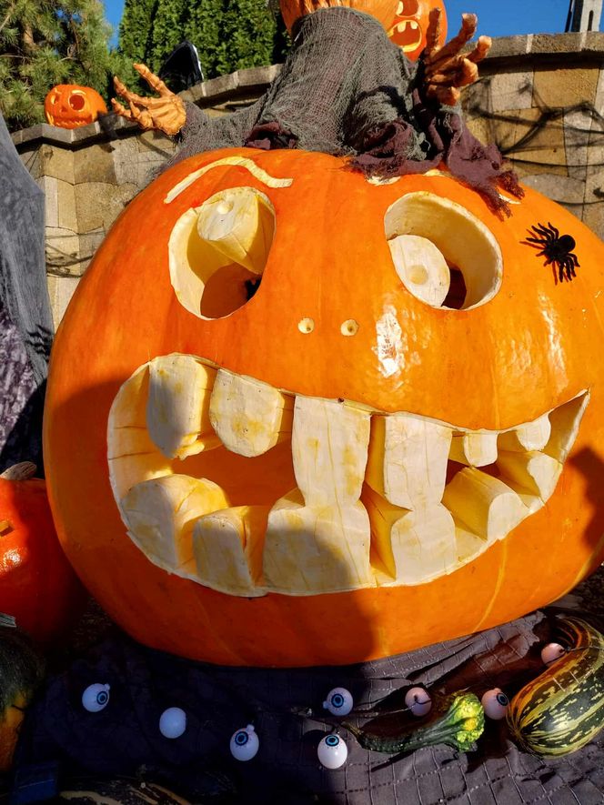 U Łukasza z Pawłowa hasło "cukierek albo psikus" nabiera innego wymiaru. Najbardziej halloweenowy dom świętokrzyskiego