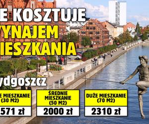 Ile kosztuje wynajem mieszkania?