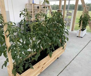 Wyjątkowe miejsce w Wólce Konopnej. Farma toMy dla osób z niepełnosprawnością