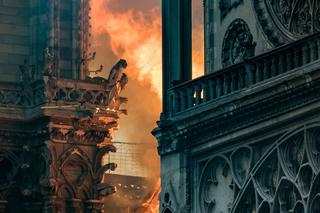 Pożar katedry Notre Dame odsłonił jej sekret. Tego o niej nie wiedzieliśmy