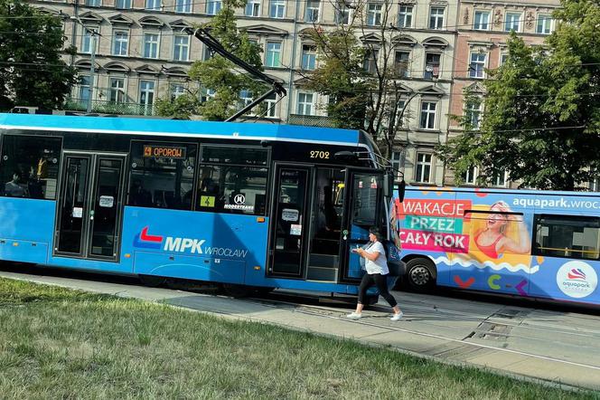 Motornicza MPK Wrocław zatrzymała tramwaj i uratowała rannego ptaszka [ZDJĘCIA]