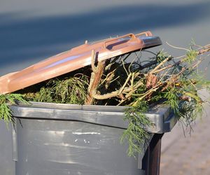 Mieszkańcy Łomży zapłacą więcej za śmieci? Znamy wyniki pierwszych kontroli wiat śmietnikowych