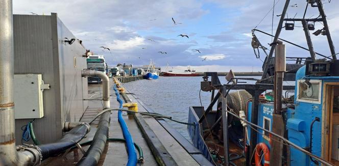 Praca rybaków na Półwyspie Helskim