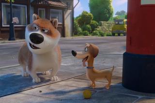 Był sobie kot - zdjęcia z filmu