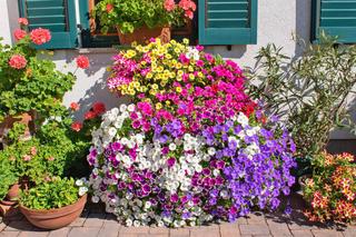 Południowy balkon [Porada eksperta]