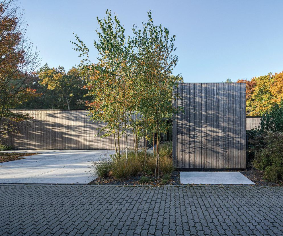 Nowoczesny dom jednorodzinny „Dom na Skraju” arch. Pawła Naduka, z elewacją z termowanej sosny, wkomponowany w zadrzewioną działkę, ze zintegrowanym podjazdem. Realizacja, o której przeczytasz więcej na portalu Architektura Murator Plus, pokazuje grę światłem i poszanowanie natury.