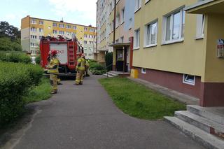 Grudziądzanie przypalali garnki. Dwa pożary w ciagu godziny