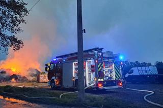 To on podpalił siano zwierzakom z Przystani Ocalenie