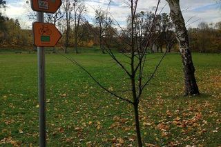 Łynostrada się wydłuża. Kolejne miasto zyskało ścieżkę rowerową