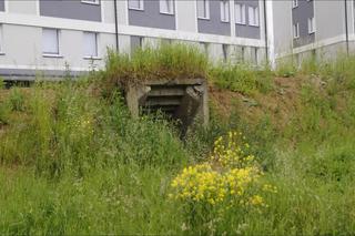 Zagadkowy i niebezpieczny podziemny labirynt w północnej części Szczecina. Lepiej nie zwiedzać go na własną rękę [ZDJĘCIA, WIDEO]