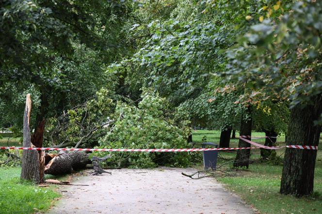 Park wilanowski zamknięty po burzy w Warszawie