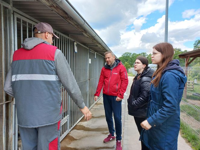 „Wszystkie psiaki nasze są” w schronisku w Henrykowie koło Leszna
