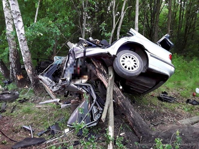 Łódź. Koszmarny wypadek 28-latka na ul. Frezjowej. Z BMW nic nie zostało 