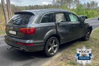 Kierowca audi potrącił łosia. Pechowe zderzenie zakończyło się śmiercią