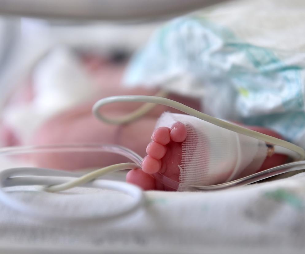 Niemowlak w łóżku 