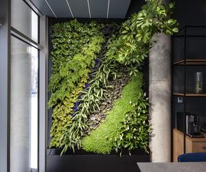 Zielona ściana z żywych roślin