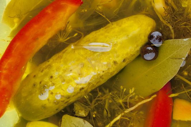 Żywność fermentowana – zdrowa czy zepsuta?