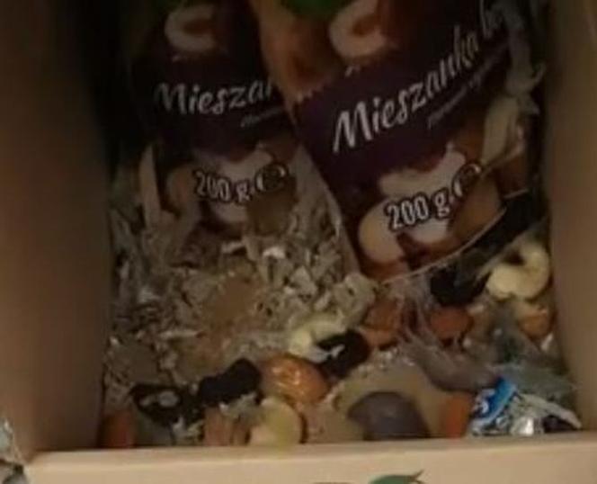 Szczury w Biedronce