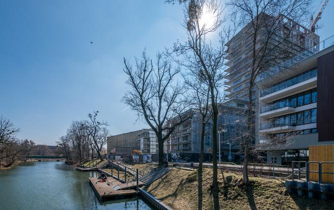 Przedmieście Oławskie. Tereny nad rzeką