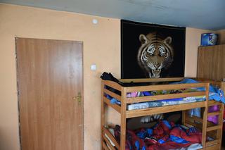 Nasz Nowy Dom znów na antenie Polsatu, odc. 1