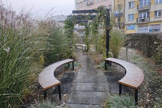 Pierwszy śnieg na Podkarpaciu