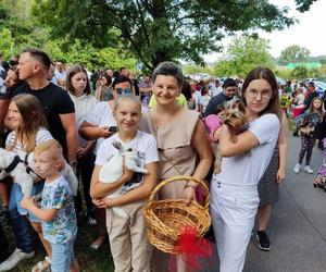 Mikstacka Arka Noego. Błogosławieństwo zwierząt podczas odpustu św. Rocha w Mikstacie