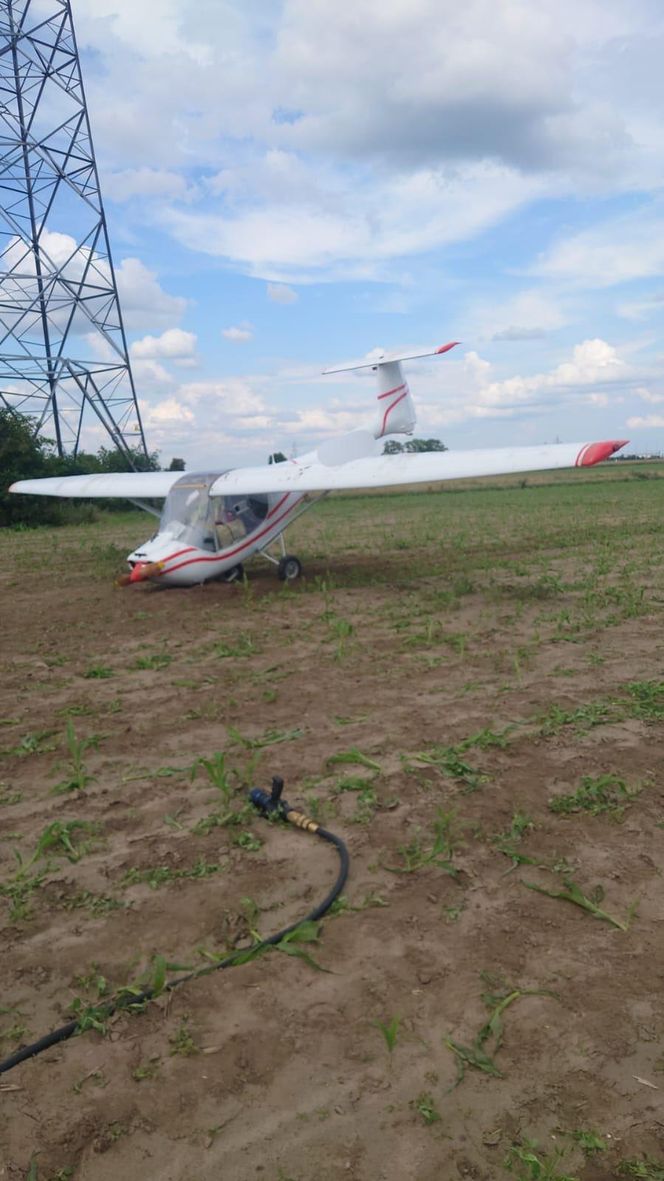 Awionetka dachowała w polu. 79-latek wyszedł bez szwanku. „To był cud” [ZDJĘCIA]