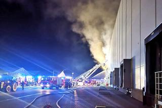 Płoną hale produkcyjne Tarczyński pod Wrocławiem. Strażacy od 7 godzin walczą z ogniem