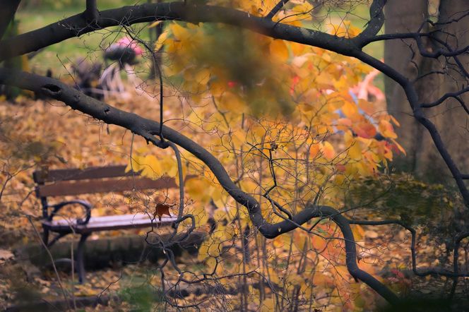 Ogród Botaniczny we Wrocławiu