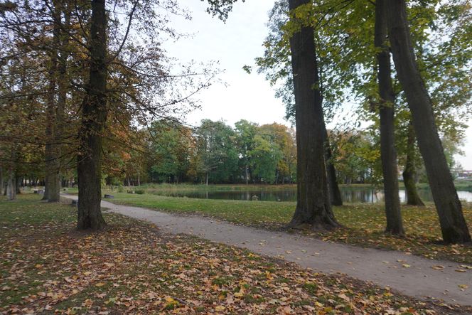 Park Lubomirskich w Białymstoku jesienią 