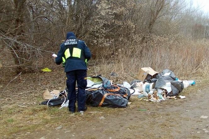 Śmieci po remoncie wyrzucone w Lesie Bródnowskim. Sprawa trafiła na policję