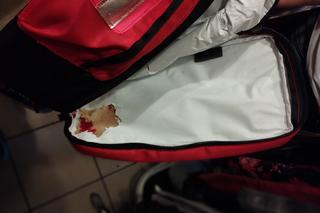 Plaga szczurów na Zamojskiej. Właściciel musiał zamknąć sklep