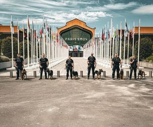 Polscy policjanci jadą pilnować porządku we Francji! Mowa jest o milionach ludzi