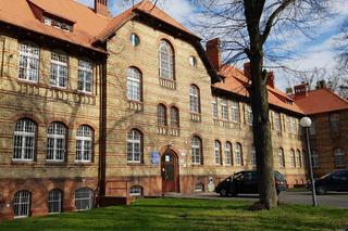 Tulipan prysnął z psychiatryka