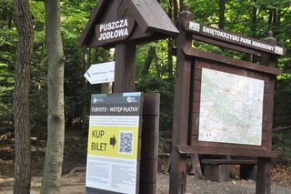 Góry Świętokrzyskie. Łysa Góra i okolice