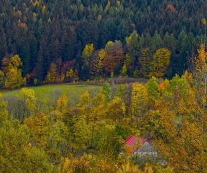 Nowe rezerwaty przyrody na Dolnym Śląsku. Wiemy, gdzie powstaną 