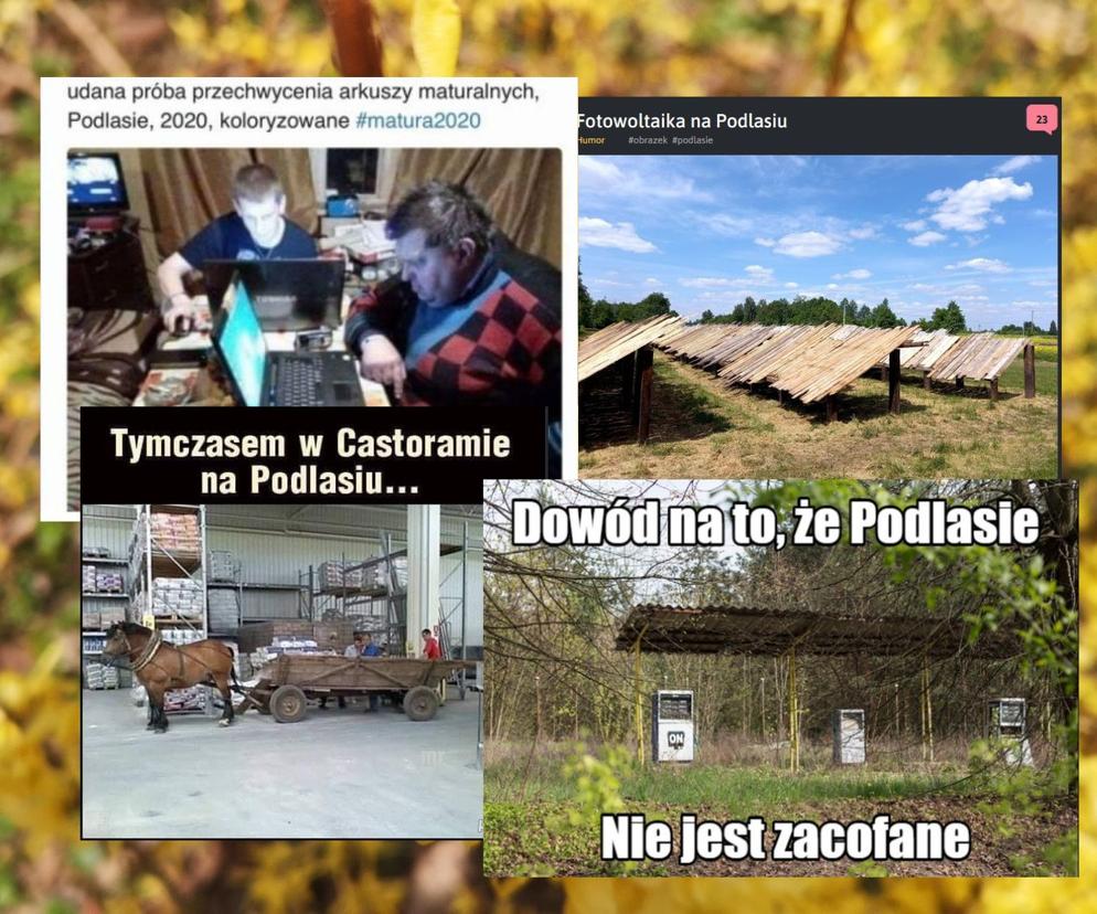 Najlepsze memy o Podlasiu. Zobacz najciekawsze memy o województwie podlaskim. Ubaw do łez!
