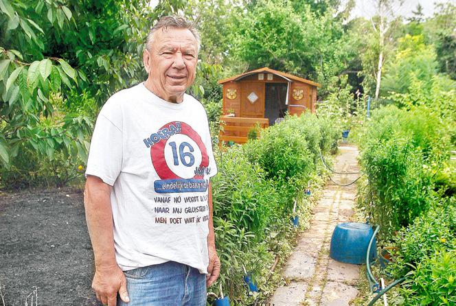  Działkowcy dostaną działki za darmo!