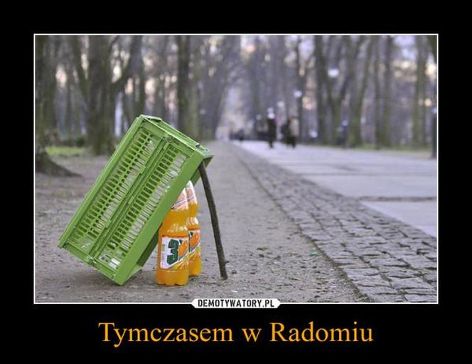 MEMY o Radomiu